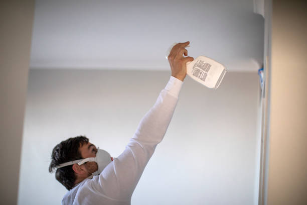 Best Mold Testing  in Perkasie, PA