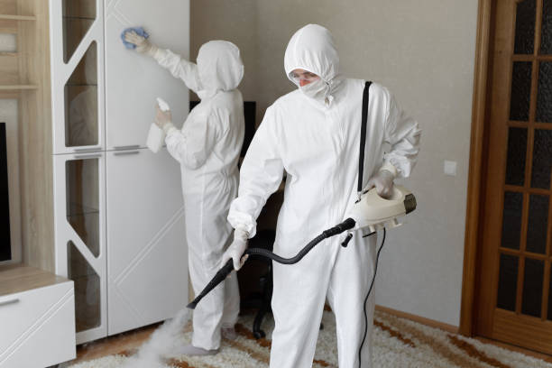 Best Commercial Mold Removal  in Perkasie, PA