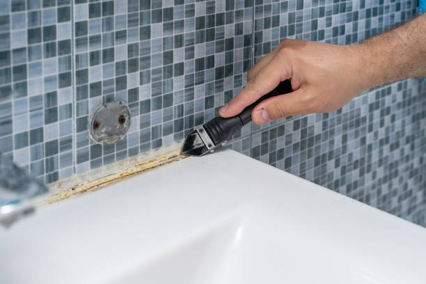 Best Black Mold Removal  in Perkasie, PA