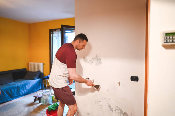 Best Attic Mold Removal  in Perkasie, PA